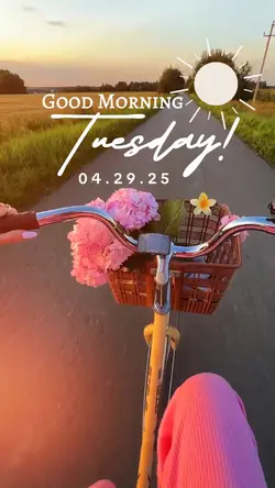 Good Morning Tuesday