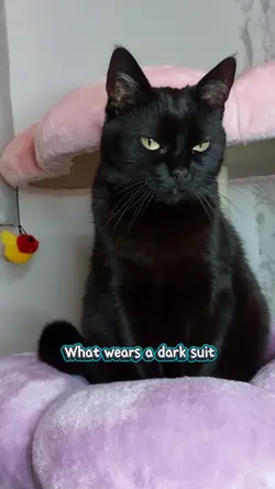What wears a dark...