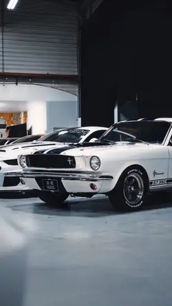 Mustang