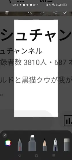 目のやつ