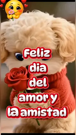 Amor y amistad!