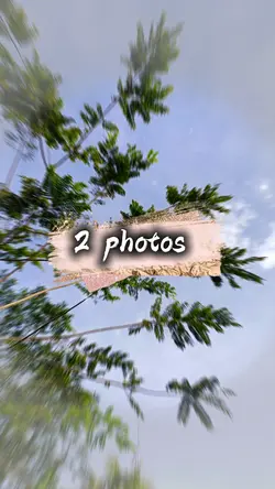 2 photos 