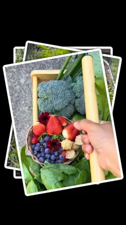 Gardening