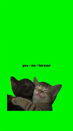 True Love Kittens