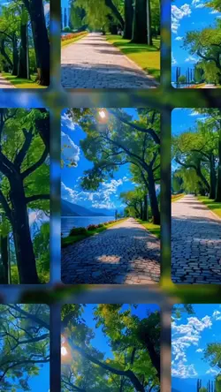 Video or photo 