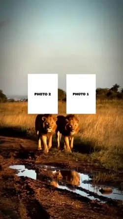3 photo new trend
