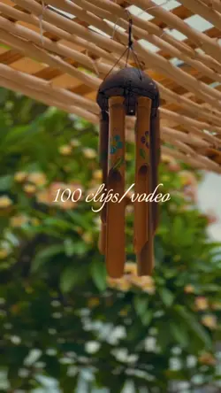 100 CLIPS/VIDEO