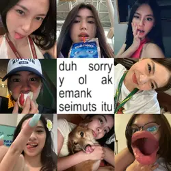 ak emg seimuts itu