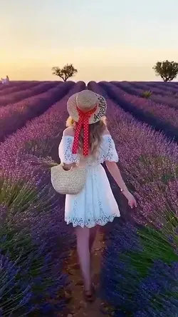 Spring Blossom 