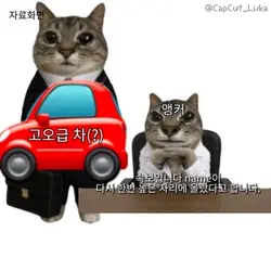 못생기면 오래 산대