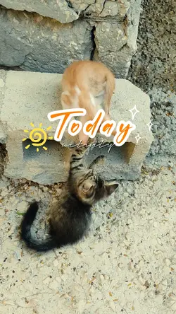 today activity