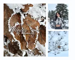 Winter is comming