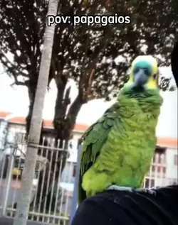 ⁠^⁠ｪ⁠^