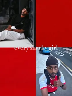 sharky and chunkz 