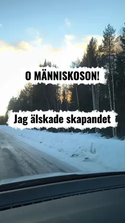 jag älskade skapande