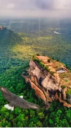 Nature 