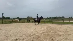 Knappe Evita 
