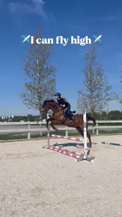 I can fly high 🐎💗