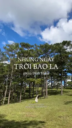 Những ngày trời bao