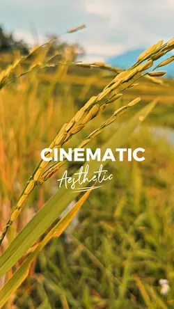Cinematic Estetik
