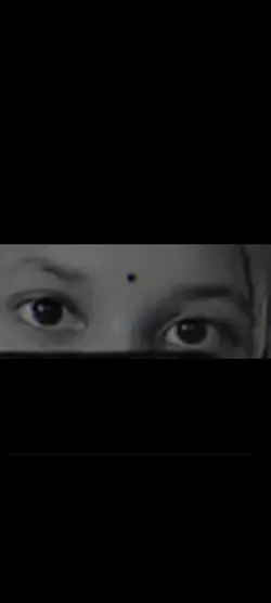 মন থেকে ভালো বাসি