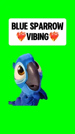 BLUE SPARROW VIBING