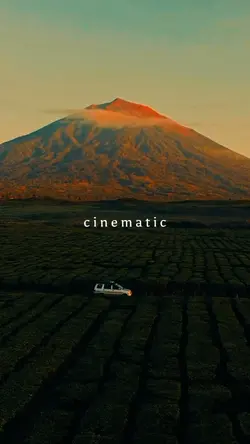 Cinematic