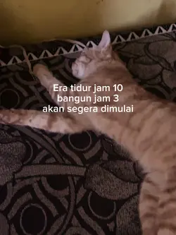 balik pondok 