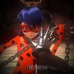 Ladybug 🐞 