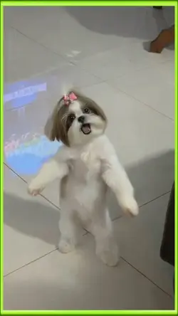 resenha na laje IA