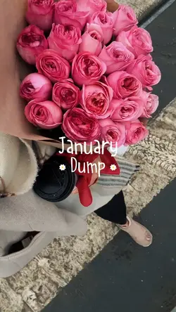 january dump 2026