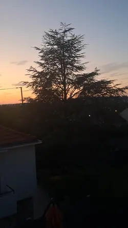 monde s’écroulé 
