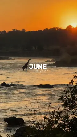 june so far 