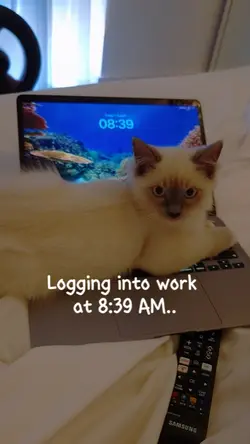 WFH IT Assistant
