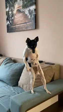 ai dog dancing