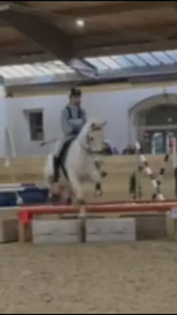arrrarar jump
