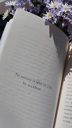 book template