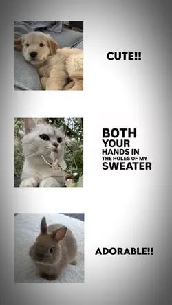 CATS>>>