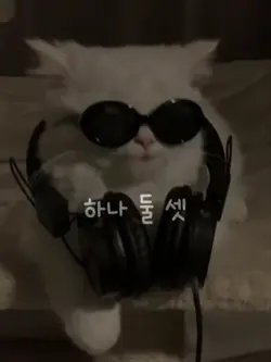 할로윈 기념 크로마키🎃