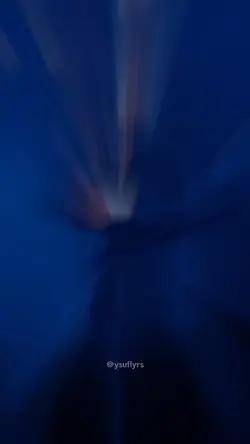 TikTok / ysuflyrs