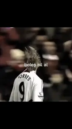 Fernando Torres