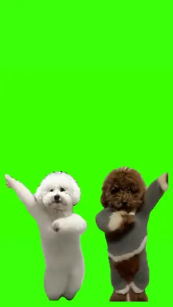 trend anjing joget