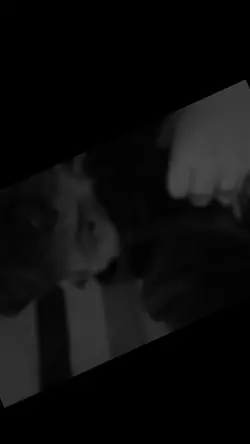 لصوت بحسابي تيك توك 