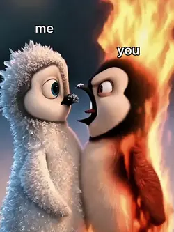 penguin trend 