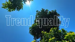 Qualiti 4k trend