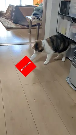 嫌いなやつを猫に退治