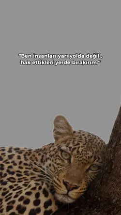 yeni şablon