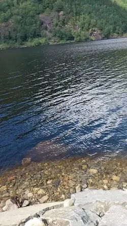Wasser 