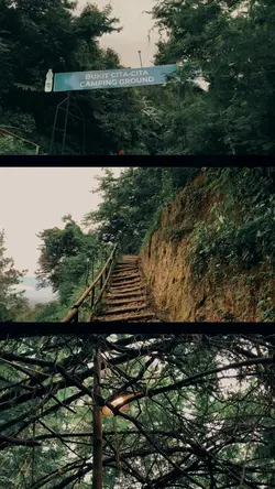 Cinematic filter