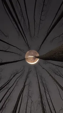 talking to the moon